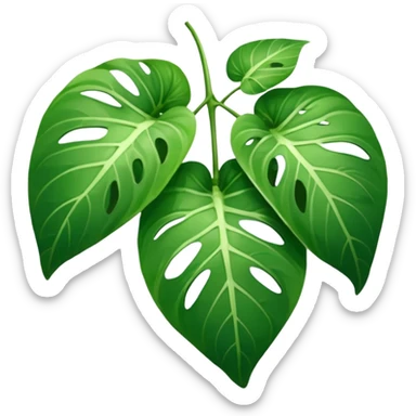 pothos leaf































































 sticker