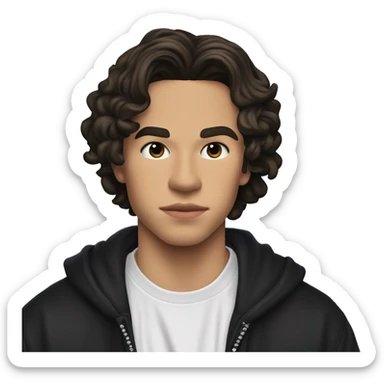 Conan Gray is an American singer-songwriter and former YouTuber. Born in Lemon Grove, California, and raised in Georgetown, Texas, he began uploading dark hair, long short rockstar sticker