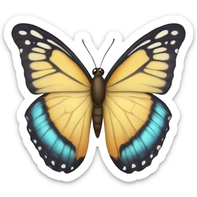 butterfly  sticker
