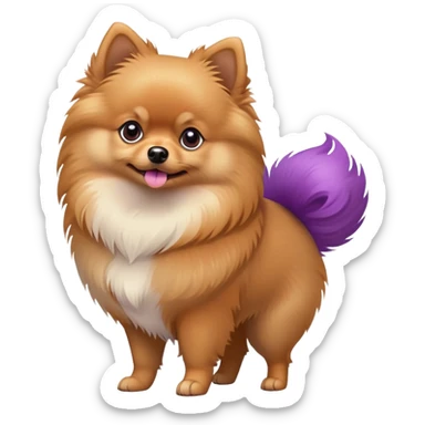 Tan Pomeranian dog standing with a purple and red tail sticker