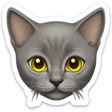 Grey Ninja Burmese kitten with yellow green eyes no clothing  sticker