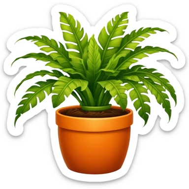 Bird's-nest fern plant in round orange pot sticker