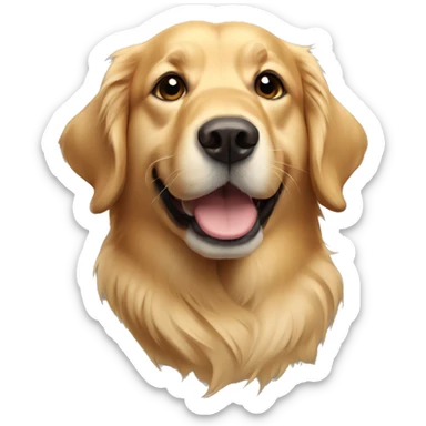 Golden retriever  sticker