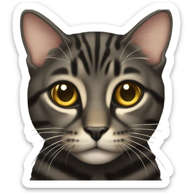 Black tabby with golden eyes sticker