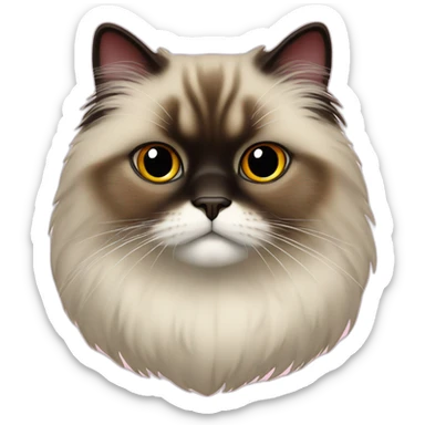 Himalayan cat in border red heart sticker