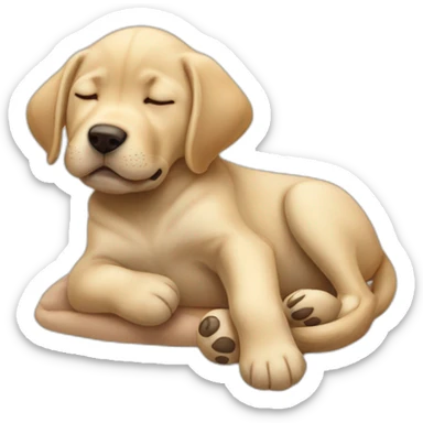 sleeping baby labrador on his paw sticker