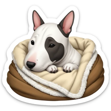 bull terrier sleeping cozy with blanket black head and eats sticker