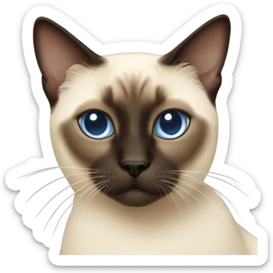 siamese cat sticker