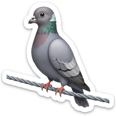 pigeon sticker
