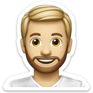 Mercedes a class a45 amg sticker