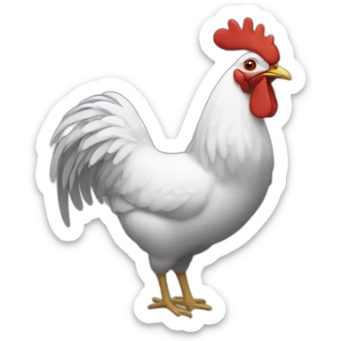 pcock sticker