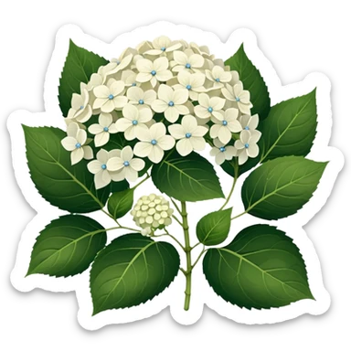 22 White Hortens sticker