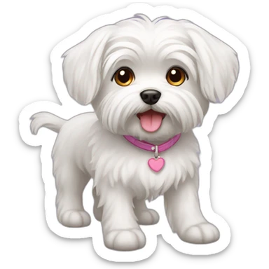 Maltese dog female sticker