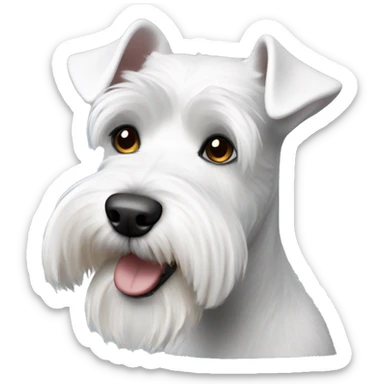 A white miniature schnauzer sticker
