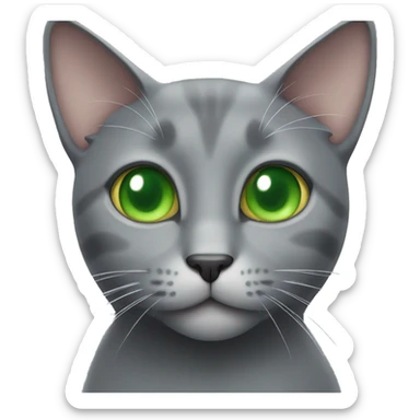 Grey cat with green eyes with a cat treat  sticker