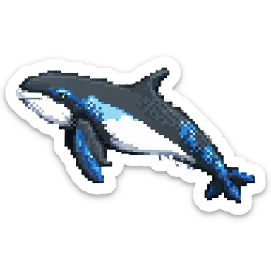 orca whale sticker