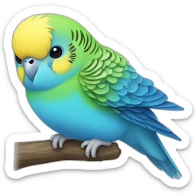 Blue budgie with yellow head sticker