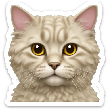 Selkirk Rex cat sticker
