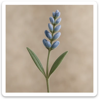 Make the lavender sprig highly realistic, with intricate details, natural textures, and a soft, subtle background. Emphasize lifelike color and shading in a photorealistic style. sticker