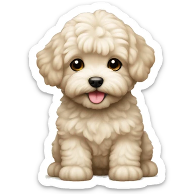Puppy breed Maltipoo, color is light beige (crème), smiling  sticker