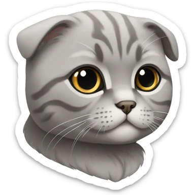 Grey Scottish fold cat  sticker
