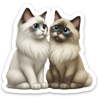two ragdoll cats kissing sticker