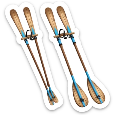 skis et raquettes sticker