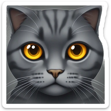 Dark grey Scottish fold cat with yellow orange eyes sticker