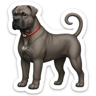Cane corso sticker