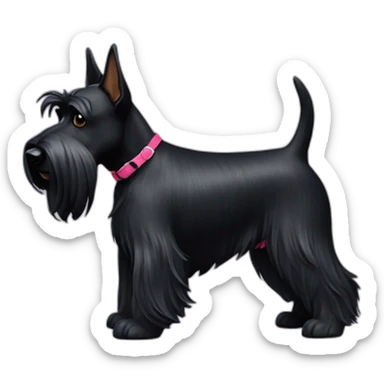 scottish-terrier-dog-walking sticker