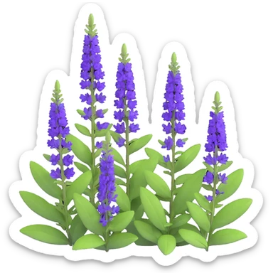 3D iOS style illustration of Salvia nemorosa, dense bush with upright purple flower spikes and green leaves, realistic and vibrant sticker