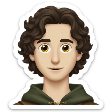 Timothee chalamet as a lord of the rings character sticker