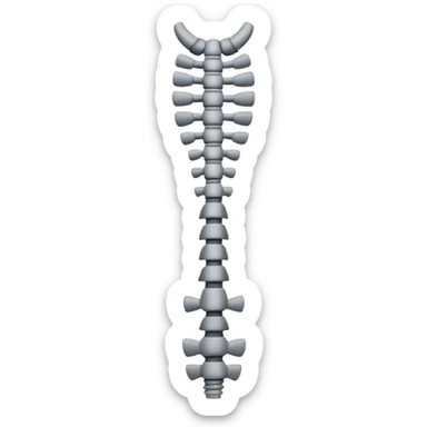 vertebral column sticker