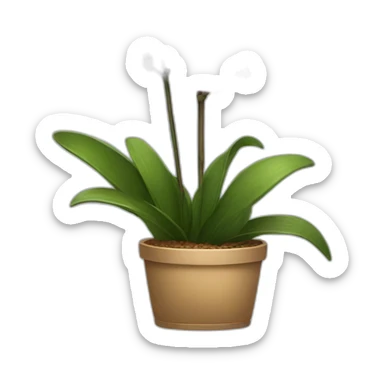 Orchids plant sticker