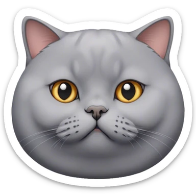 fat gray british shorthair cat  sticker