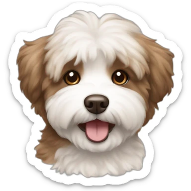 smiling brown coloured dog bichon havanese sticker