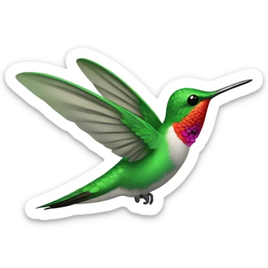 Hummingbird sticker