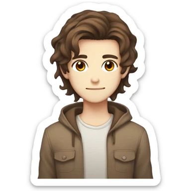 Male, long brown hair and brown eyes, light human colour skin anime style sticker