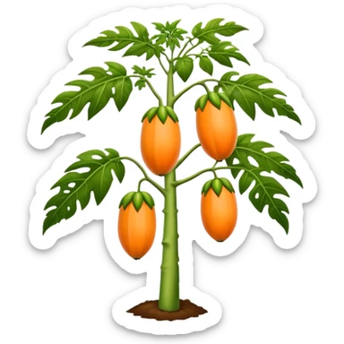 papaya tree sticker