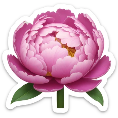Peony sticker