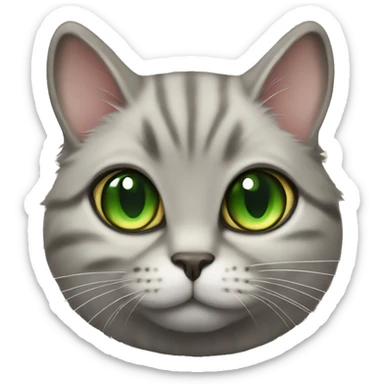 British chinchilla gold cat with green eyes  sticker