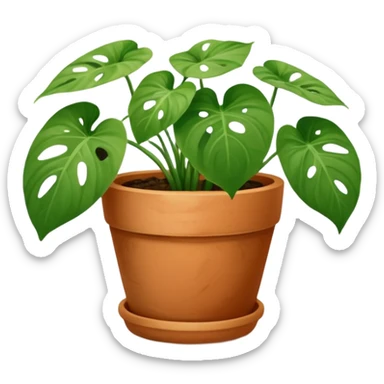 Swiss cheese pothos in a terracotta pot sticker