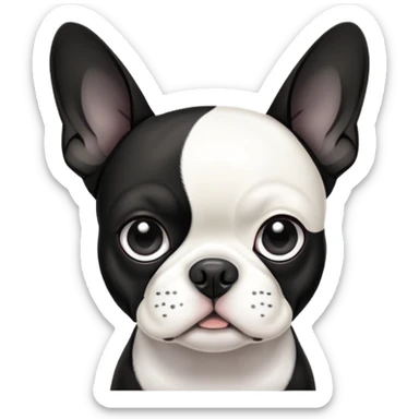 boston terrier with folded floppy ears sticker