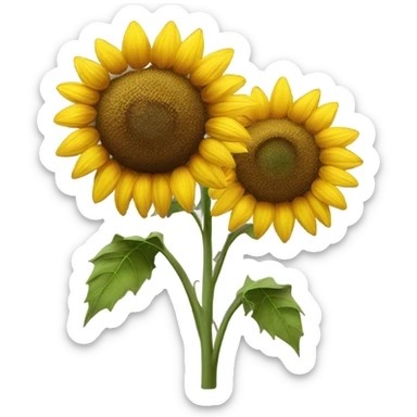 Sunflower  sticker
