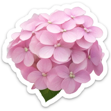 Hydrangea "A cluster of small pastel pink hydrangea blossoms glowing softly, with a gentle shimmer highlighting each petal and a magical light aura." sticker