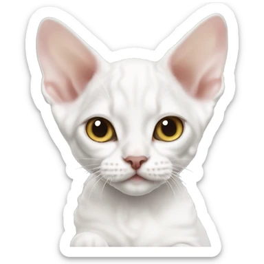 White Devon rex kitten laying  sticker