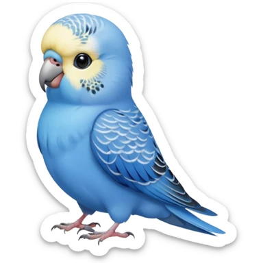 blue budgie parakeet with Armando sticker