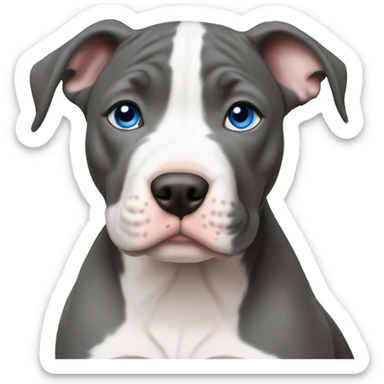 Blue nose pitbull puppy with blue eyes sticker