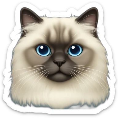 himalayan cat color blue cream sticker