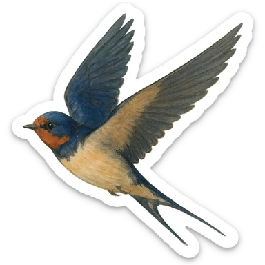 bird flying, varied artistic style, simple or transparent background sticker